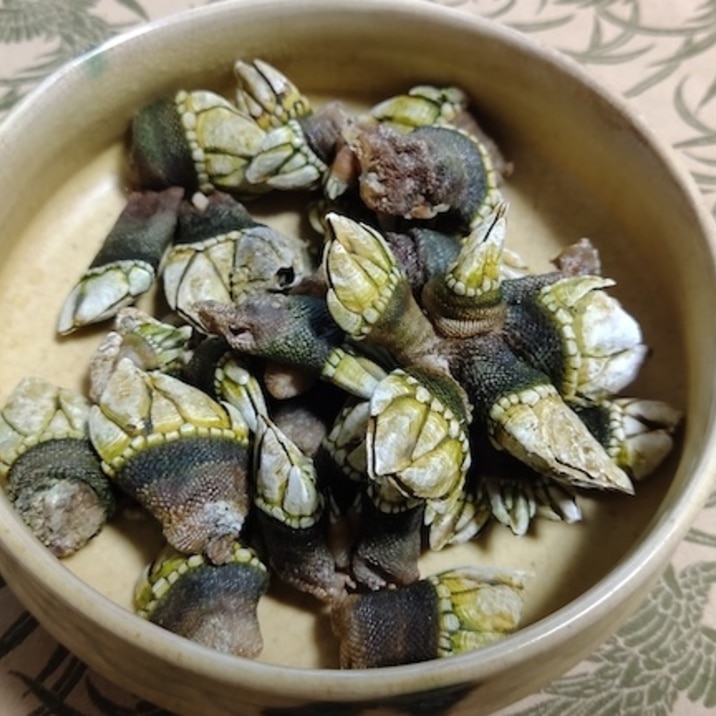 見た目は悪いが美味い カメノテ 貝 の塩茹で レシピ 作り方 By Prunaio 楽天レシピ 見た目は悪いが美味い カメノテ 貝 の塩茹で レシピ 作り方 By Prunaio 楽天レシピ